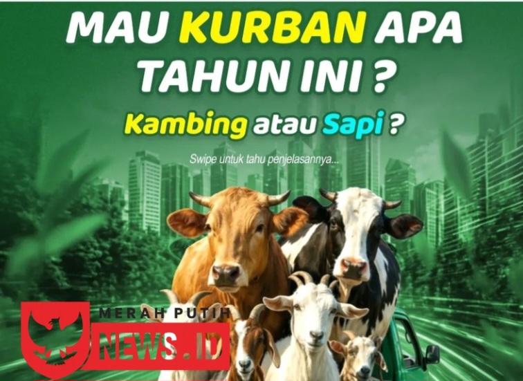 Wujudkan Niat Berqurban Sejak Dini Melalui Tabungan Qurban di BPRS BS