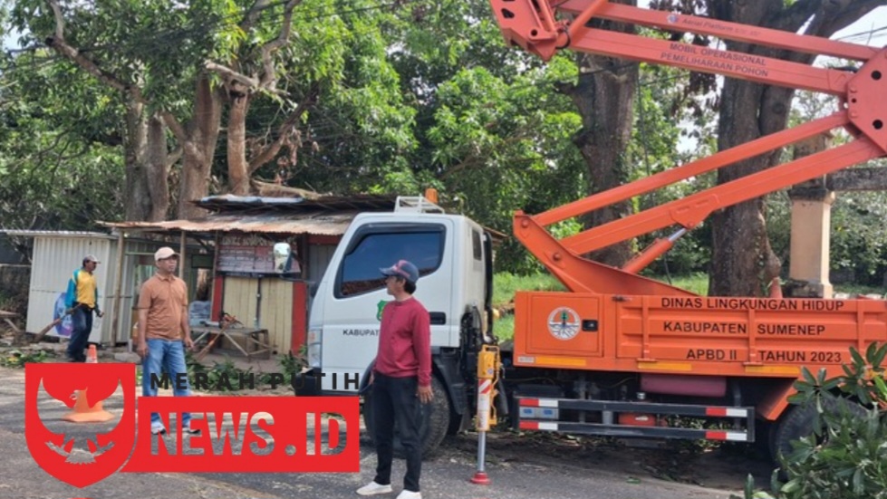 Kadis dan Kabid Tata Lingkungan DLH Sumenep Terjun Langsung Pangkas Pohon di Jalan Raya Kalianget